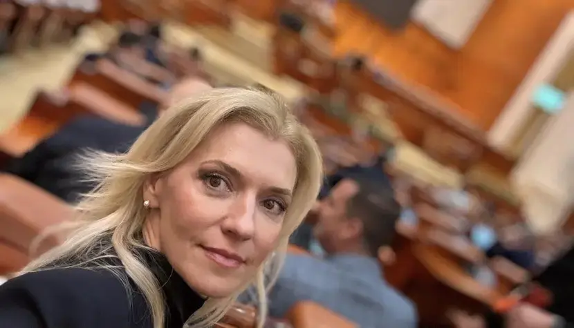 Alina Gorghiu, uimită de votul USR pentru Legea ANI: „Căldură mare, consistență zero!