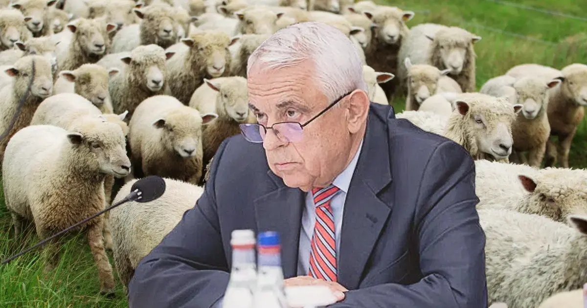 Daea, despre oi: „Nu critic oaia seara și-i mănânc brânza dimineața