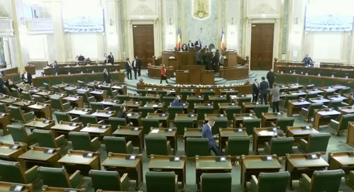Legea ANI, respinsă în Senat: PSD și UDMR au votat pentru, AUR s-a abținut