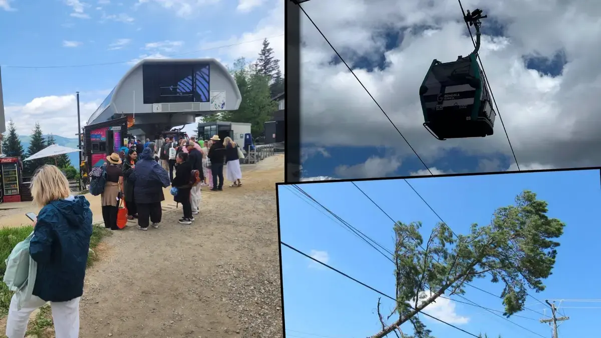 Panică la Sinaia: Turiști evacuați din telegondole după ce un copac a rupt cablurile
