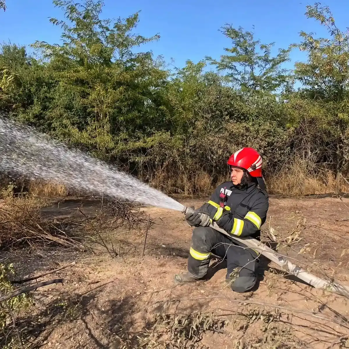 Pericol de incendii pe caniculă: Cum să previi dezastrele provocate de vegetația uscată