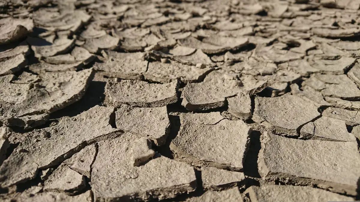 Sahara României sub asediu: Temperaturi de 43 de grade și un peisaj care se usucă sub ochii noștri