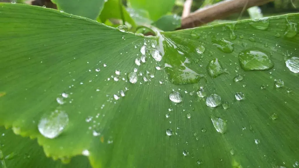București, apă caldă slabă în mii de blocuri din cauza reviziei de vară a CET-urilor