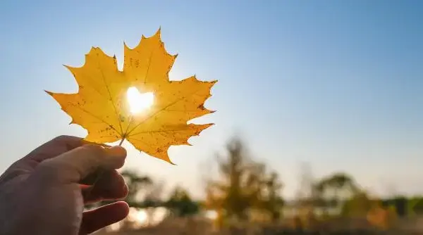 Toamna vine caldă: temperaturi peste medie până la începutul lui octombrie