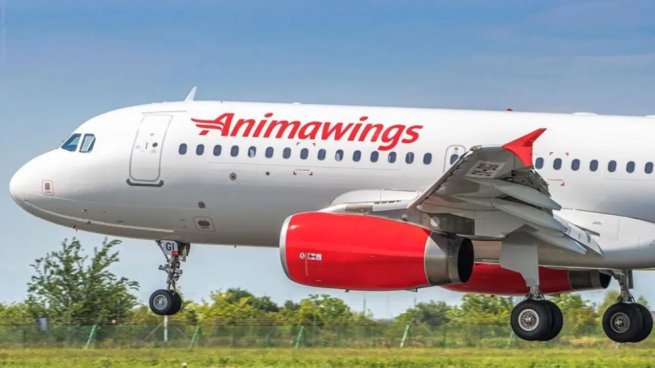 AnimaWings prelungeste zborurile suspendate până la 15 noiembrie 2026