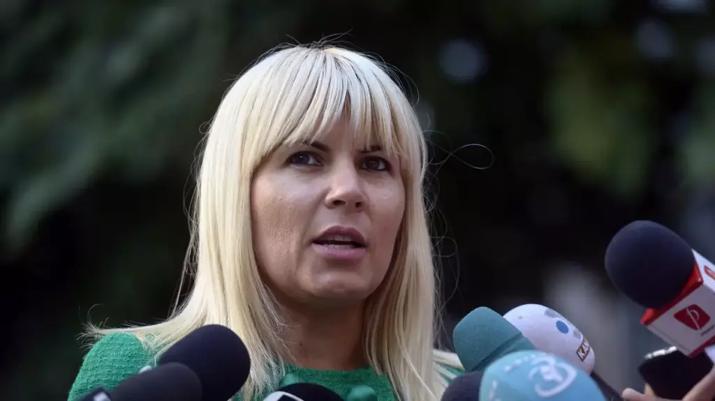 Elena Udrea: PNL sub Bolojan pierde identitatea și risca alegerile