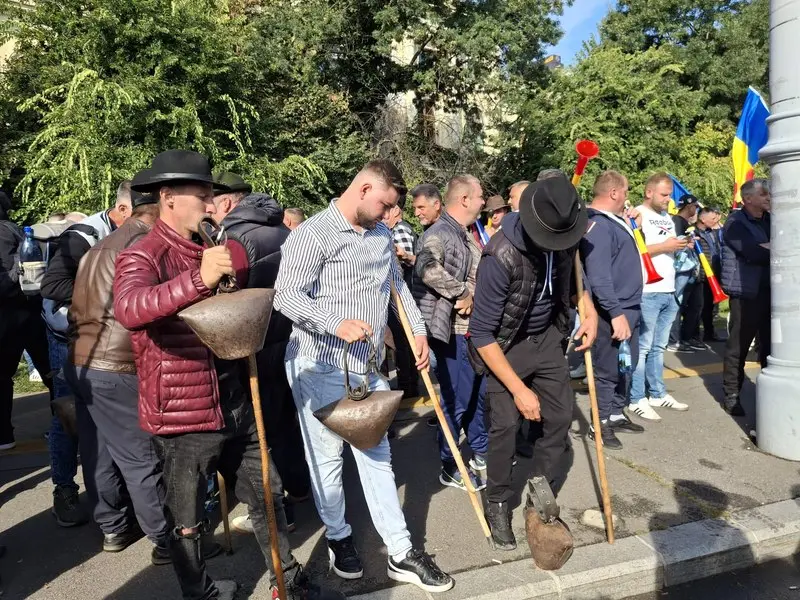 Fermierii de oi: 'Problemele nu sunt rezolvate nici măcar cu 1,1%