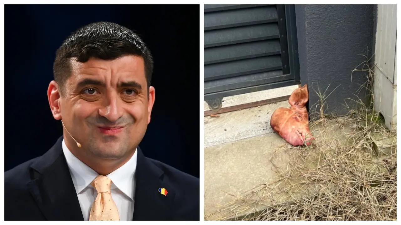 George Simion reacționează la scandalul capului de porc de la poarta lui Lulea: „Cât de jos vreți să ajungi?