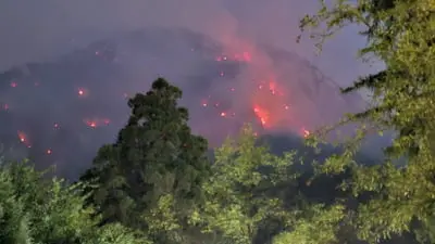 Incendii devastatoare în Herculane: peste 2.100 de hectare de pădure distruse și cereri de demisii