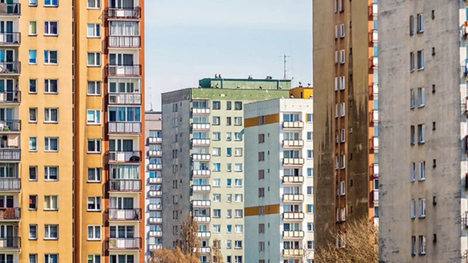 Leul slab și prețurile mari: Cum a schimbat cursul valutar piața imobiliară din România