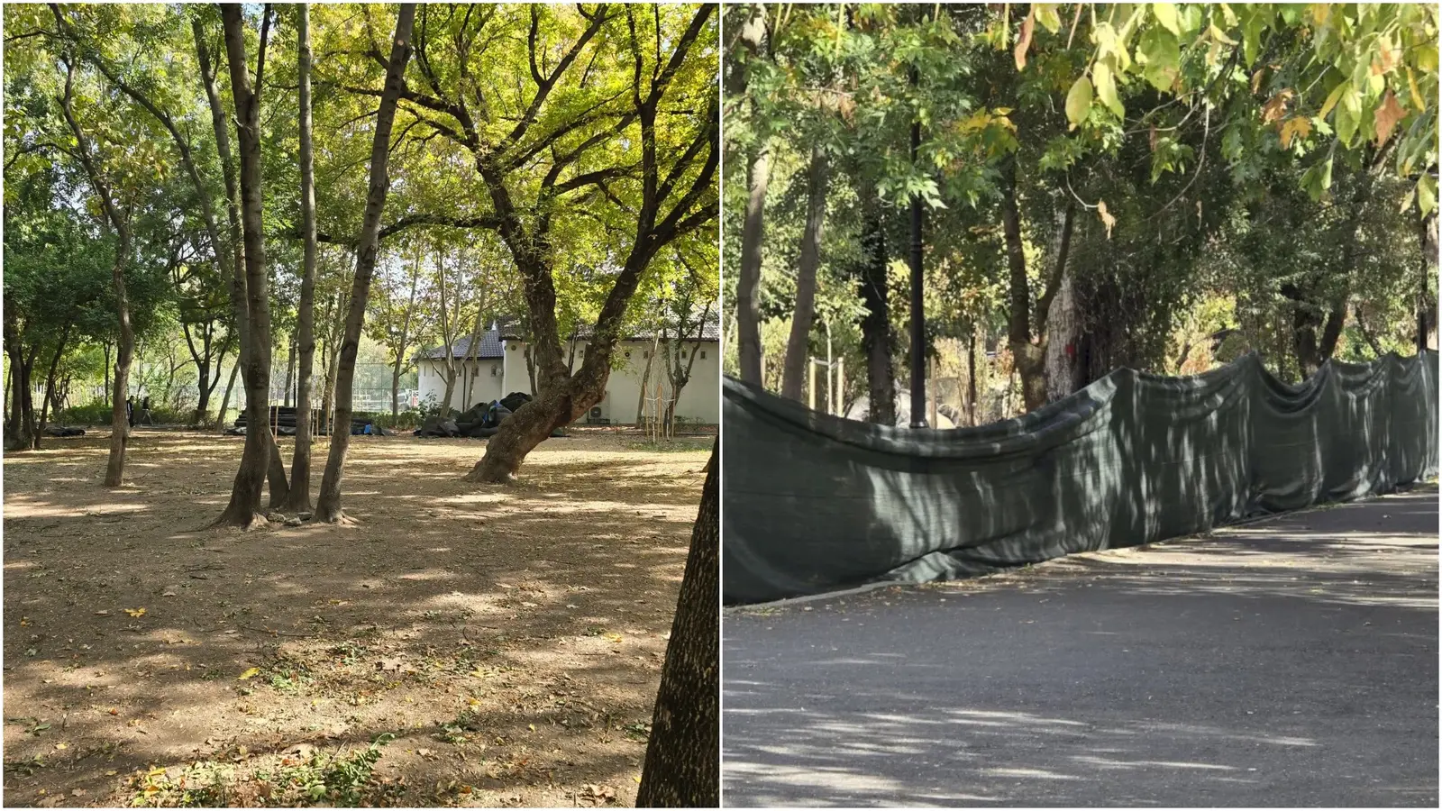 Cum va fi modernizat Parcul Plumbuita: terenuri de sport și spații verzi fără supraveghere video
