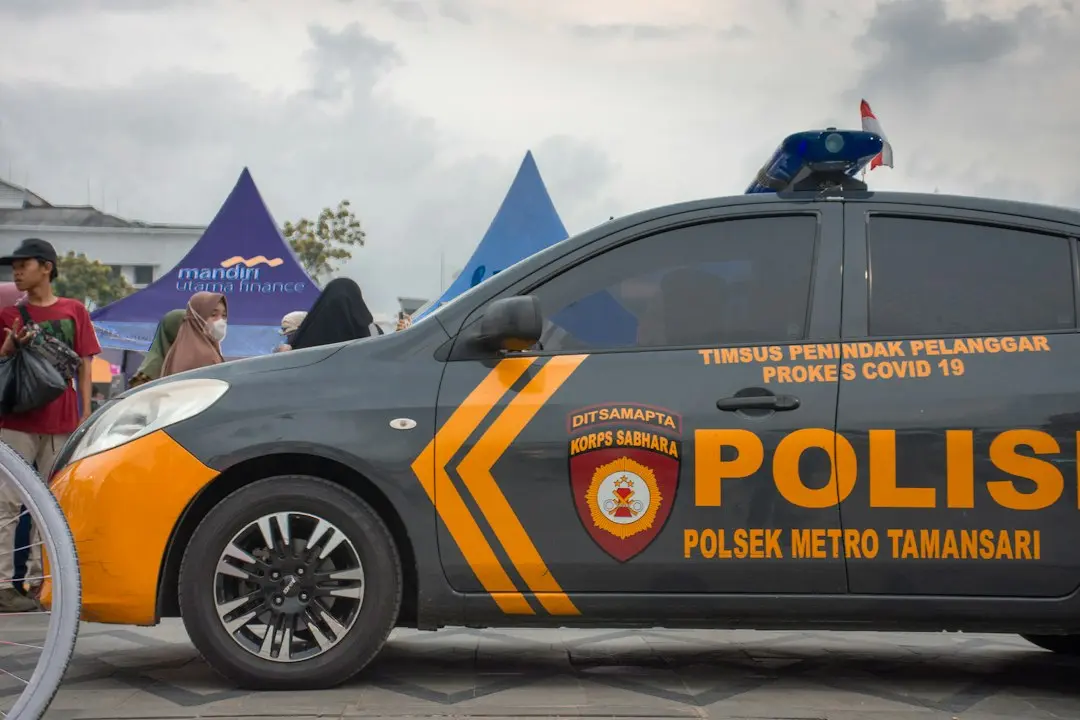 Poli Timișoara și Potaissa Turda își caută adversarii europeni la handbal