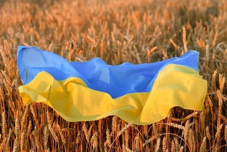 Zelenski cere coridoare pentru cereale: Ungaria deschide calea tranzitului